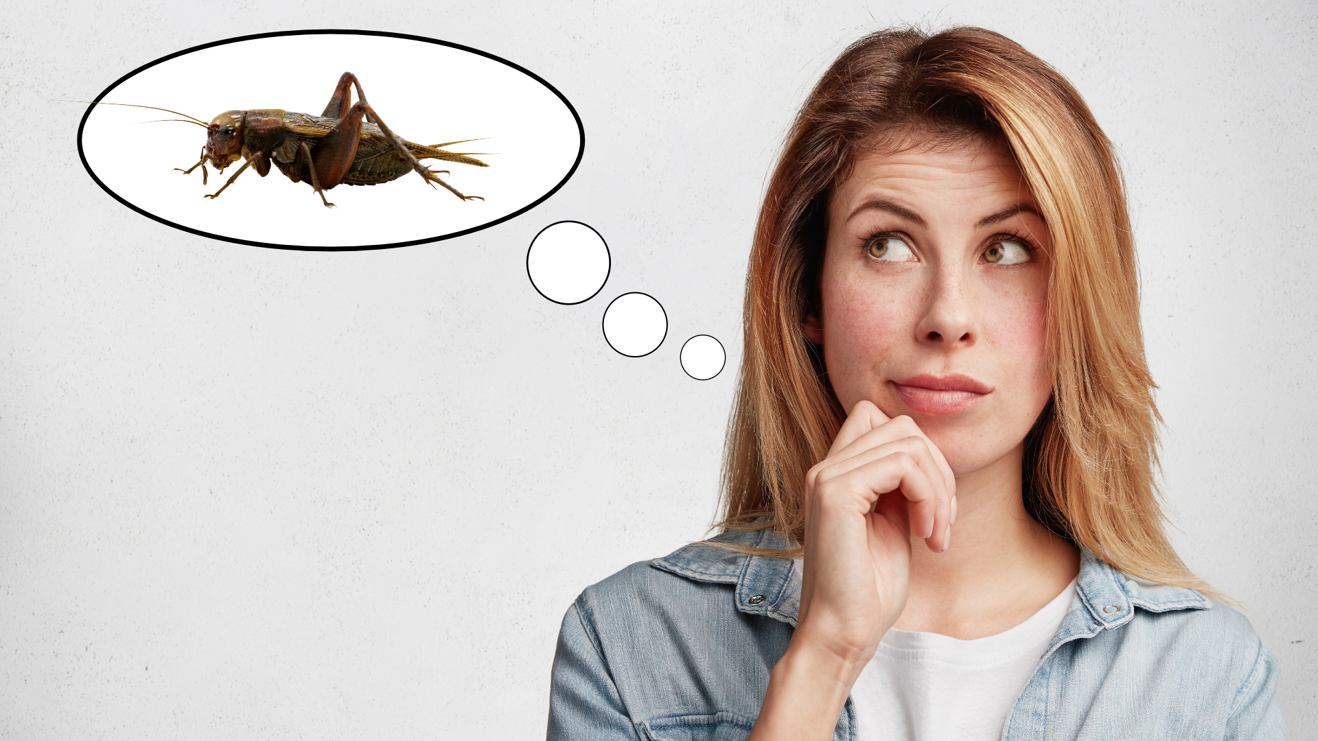 What is Acheta Powder